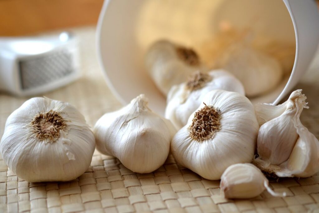 Top 10 Easy & Healthy Vegetable in the Garden: Delicious Picks for Your Home
